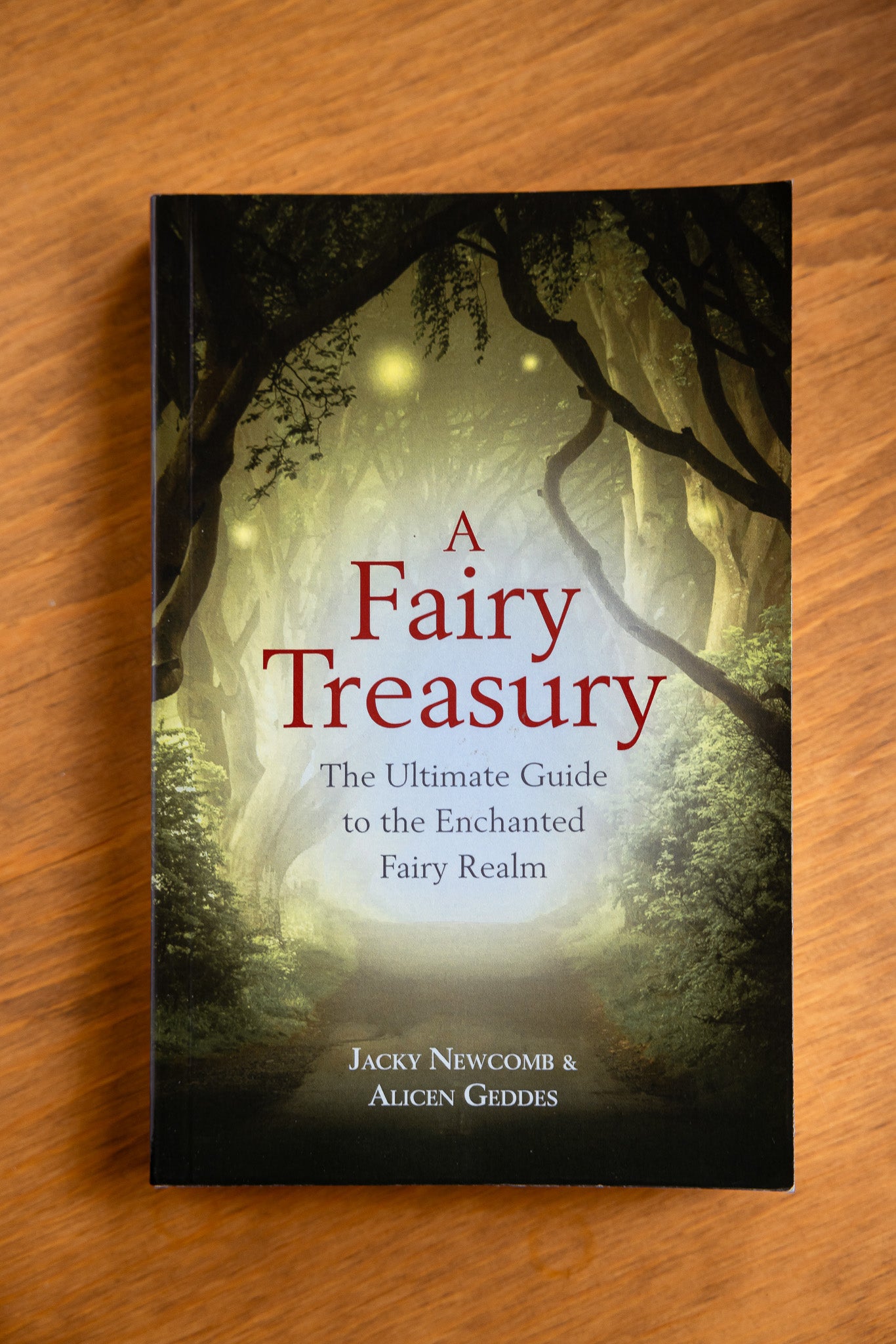 A Fairy Treasury: The Ultimate Guide to the Enchanted Fairy Realm by Jacky Newcomb, Alicen Geddes