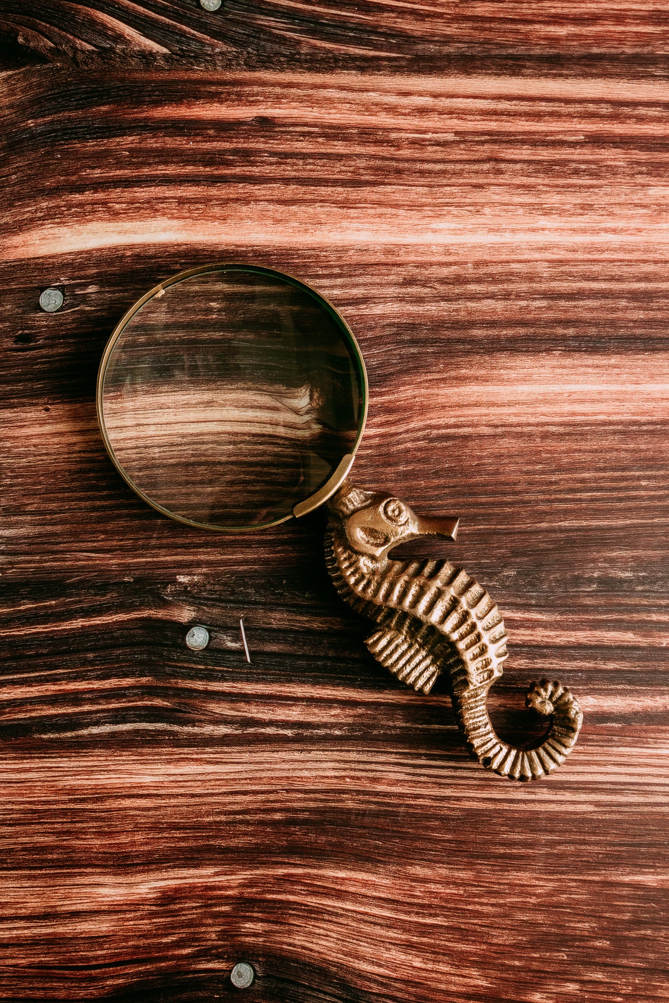 Brass Seahorse Magnifying Glass