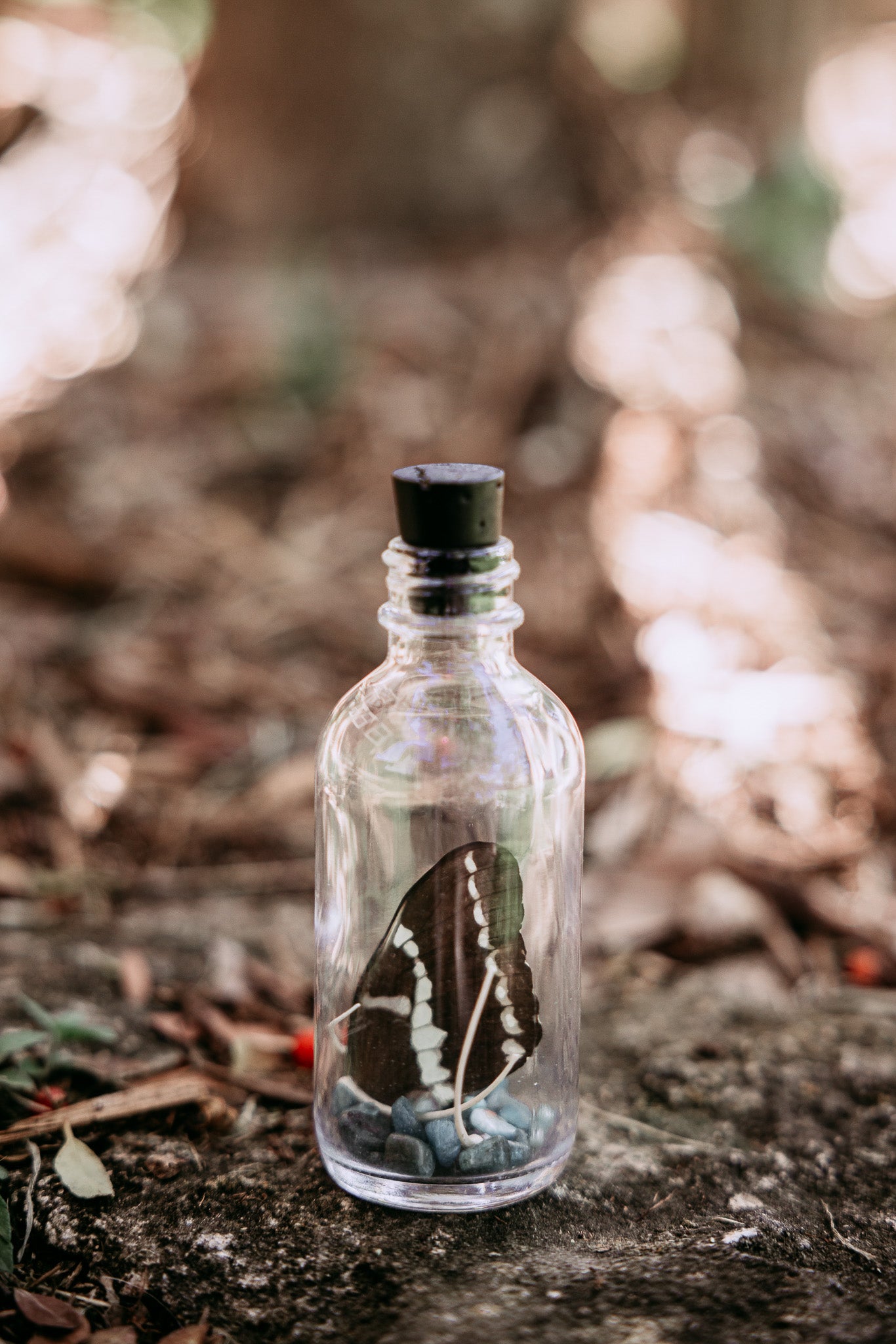 Butterfly Wing Spell Jar