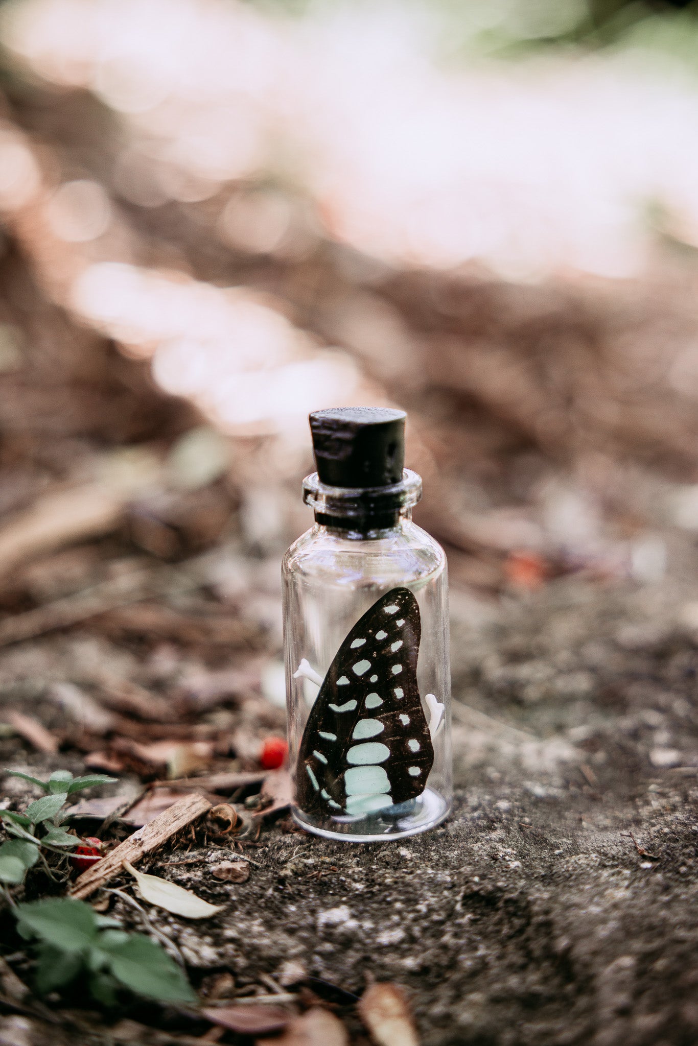 Butterfly Wing Spell Jar