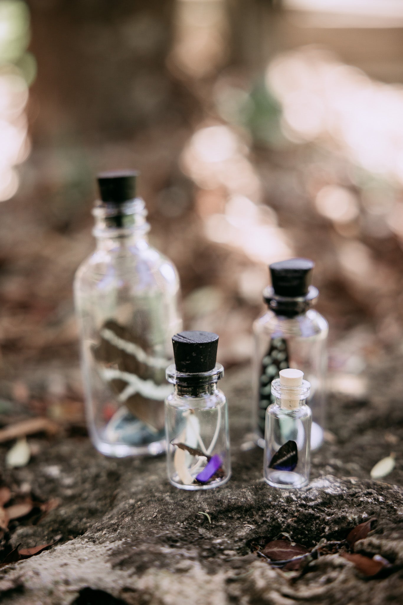 Butterfly Wing Spell Jar