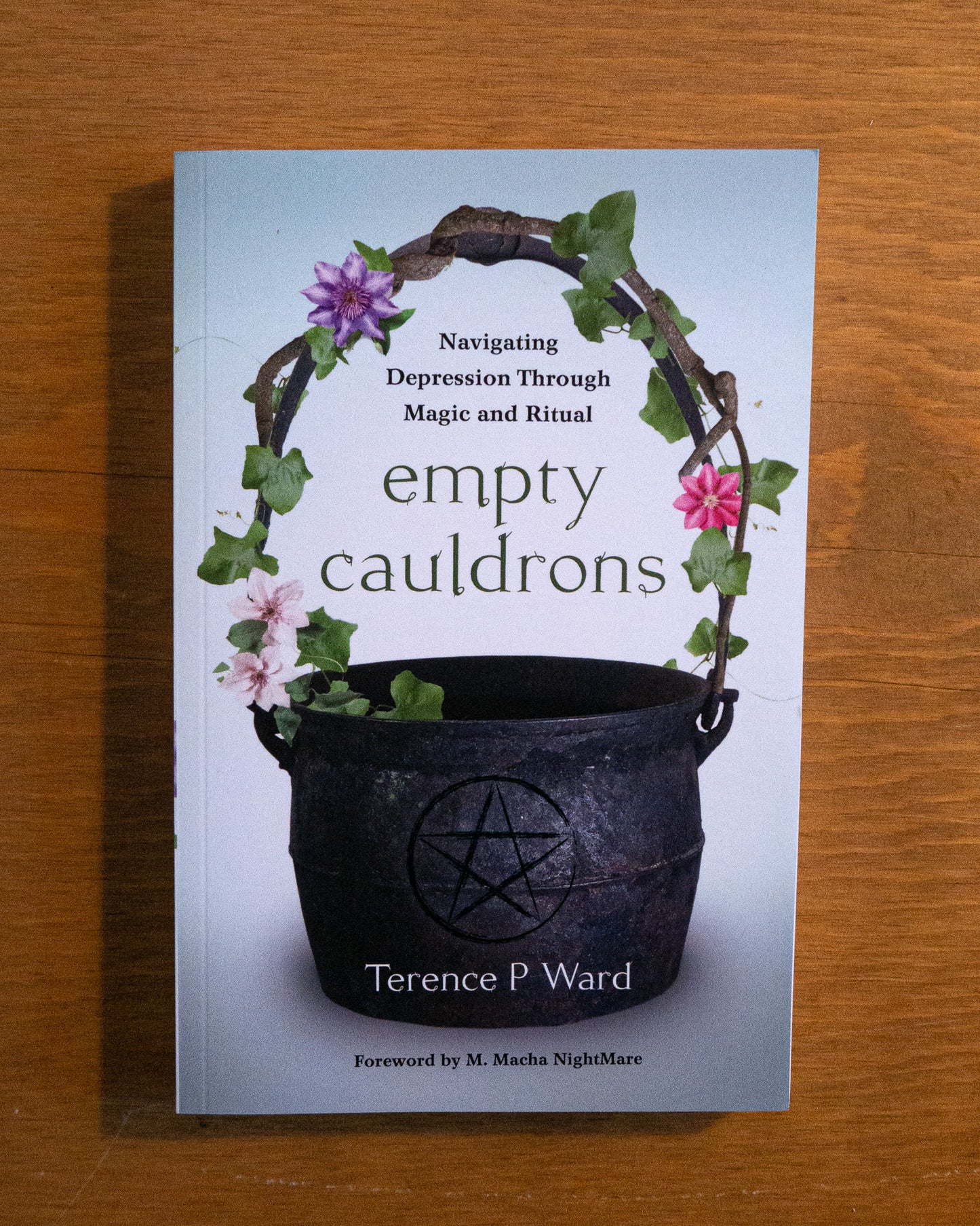 Empty Cauldrons: Navigating Depression Through Magic and Ritual by Terence P Ward