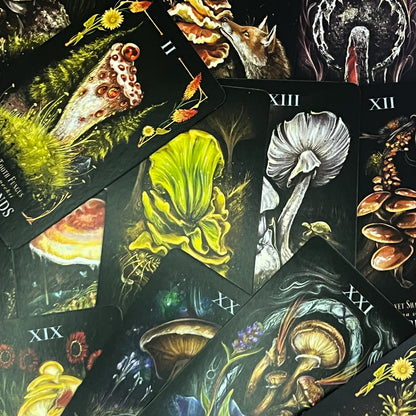 Midnight Magic: A Tarot Deck of Mushrooms