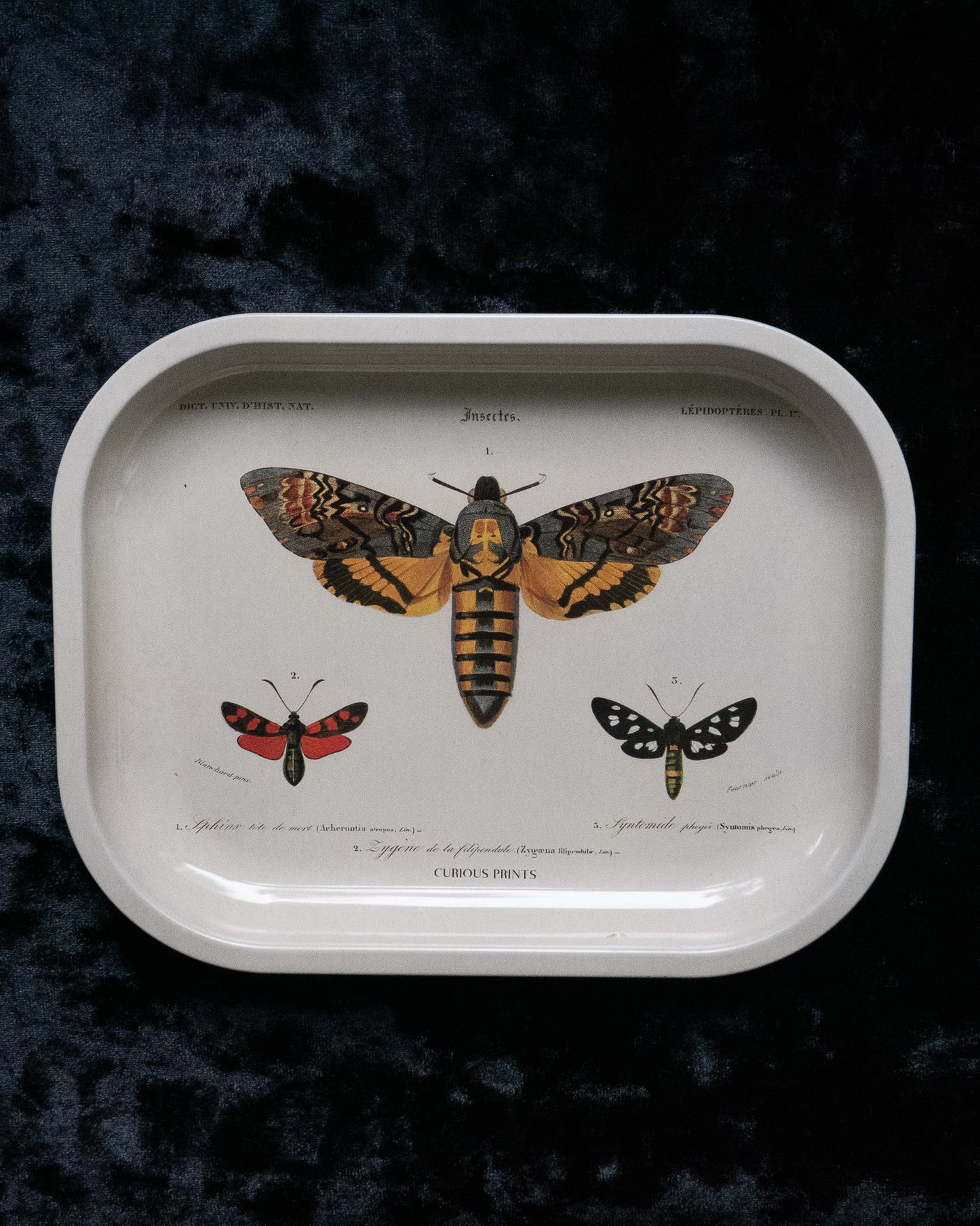 Moth Altar Tray