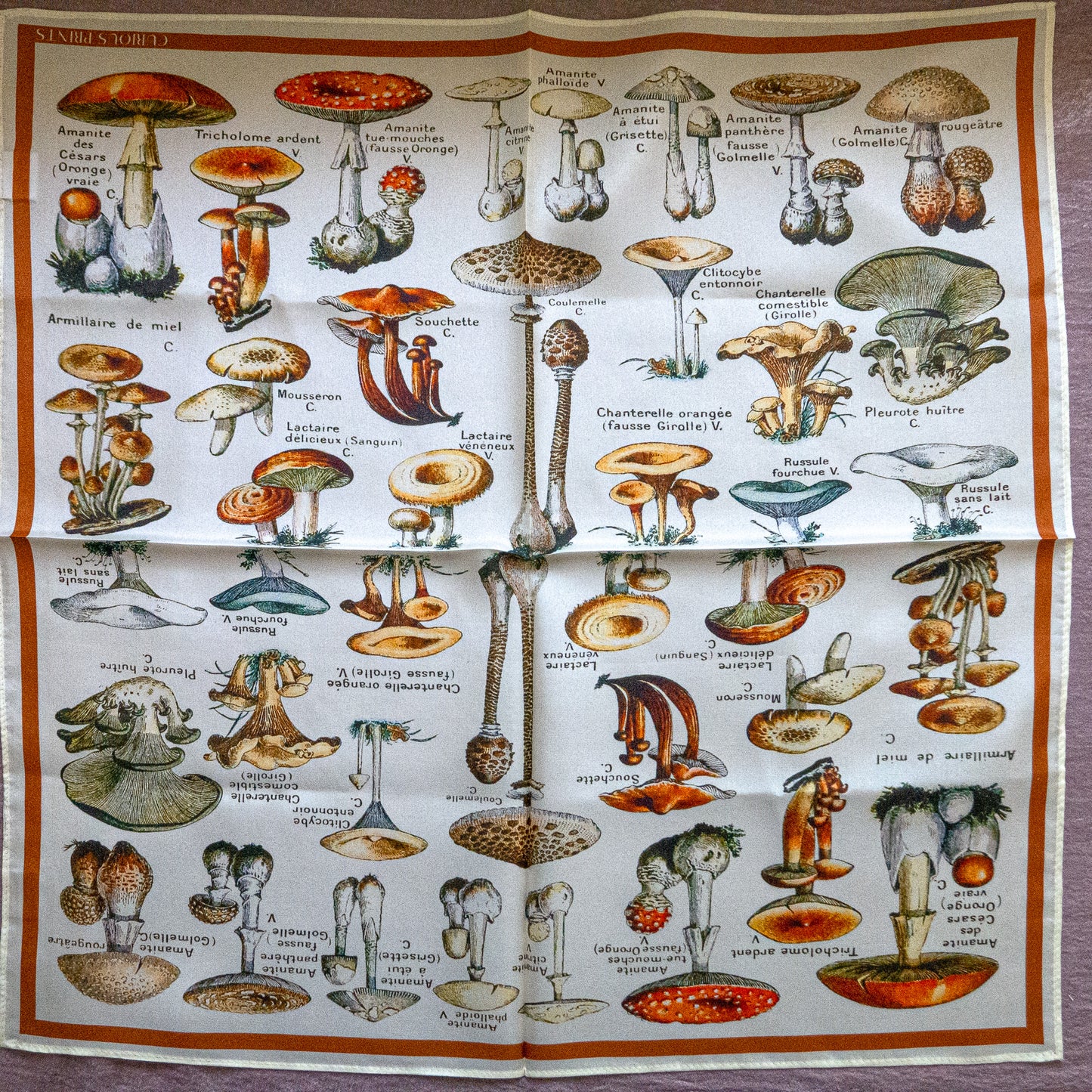 Mushroom Silk Scarf