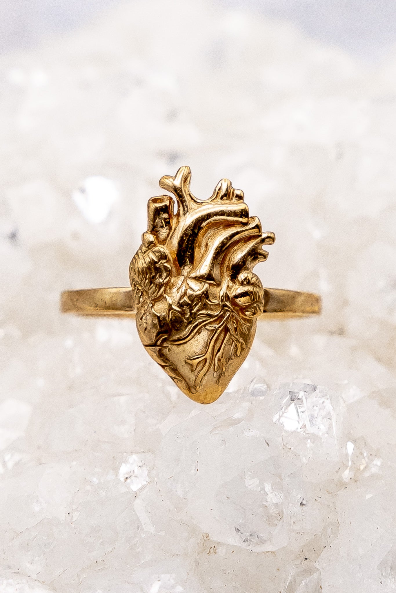 Anatomical Heart Ring Bronze