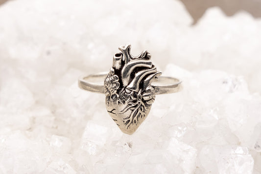 Anatomical Heart Ring Silver