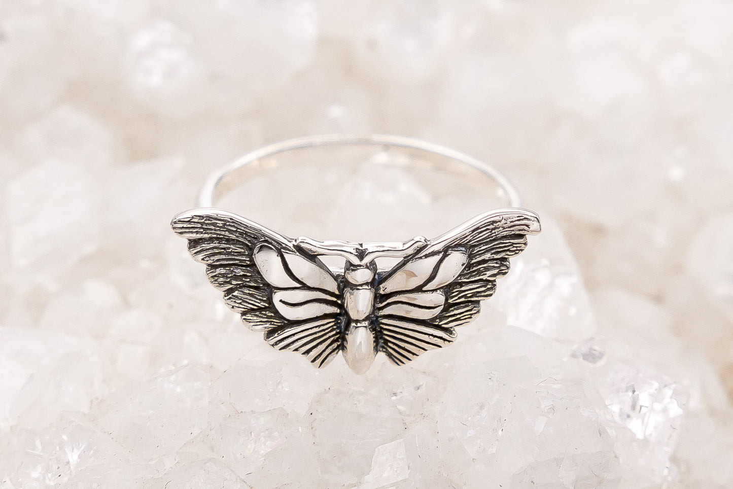 Butterfly Moth Ring Silver