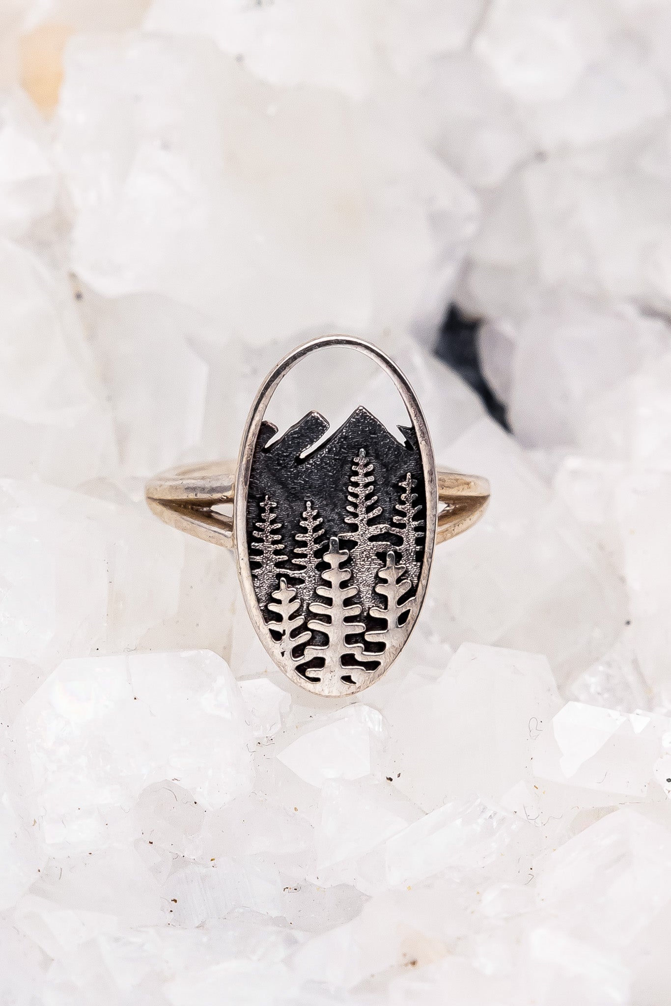 Oval Tree and Mountain Ring