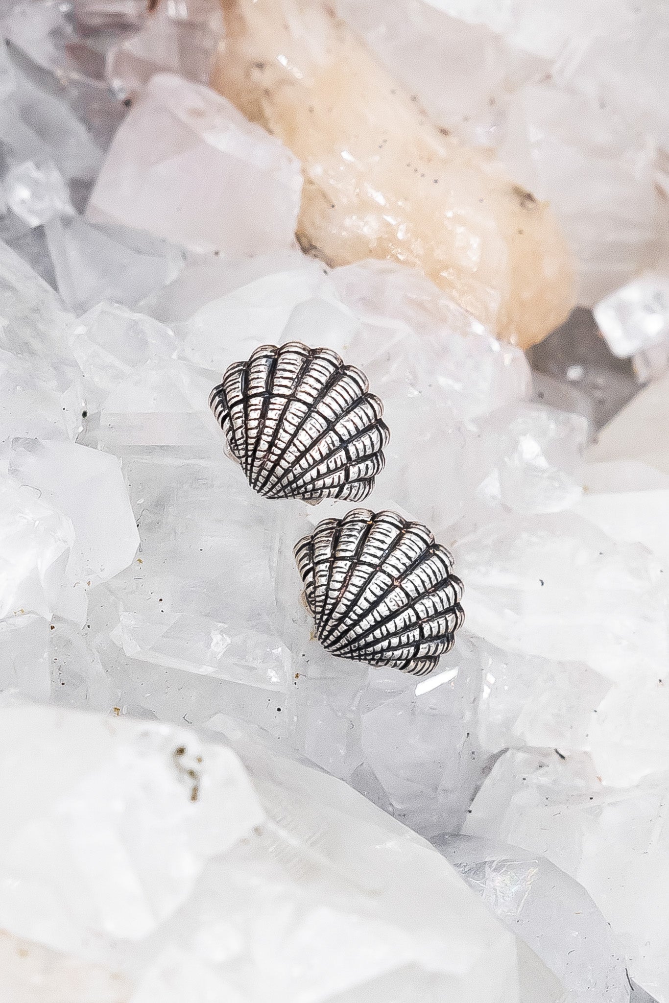 Small Shell Post Earrings