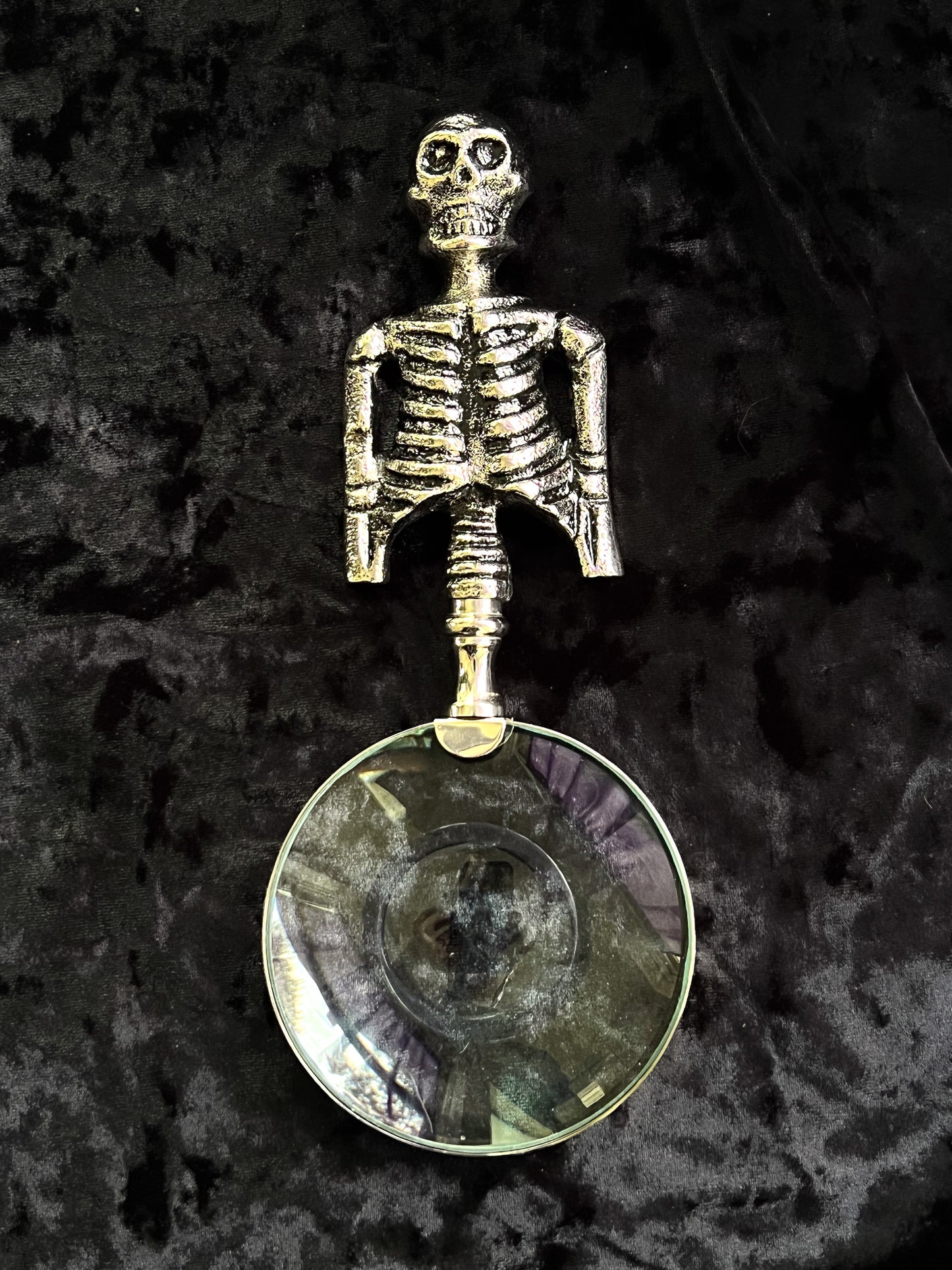 Skeleton Magnifying Glass