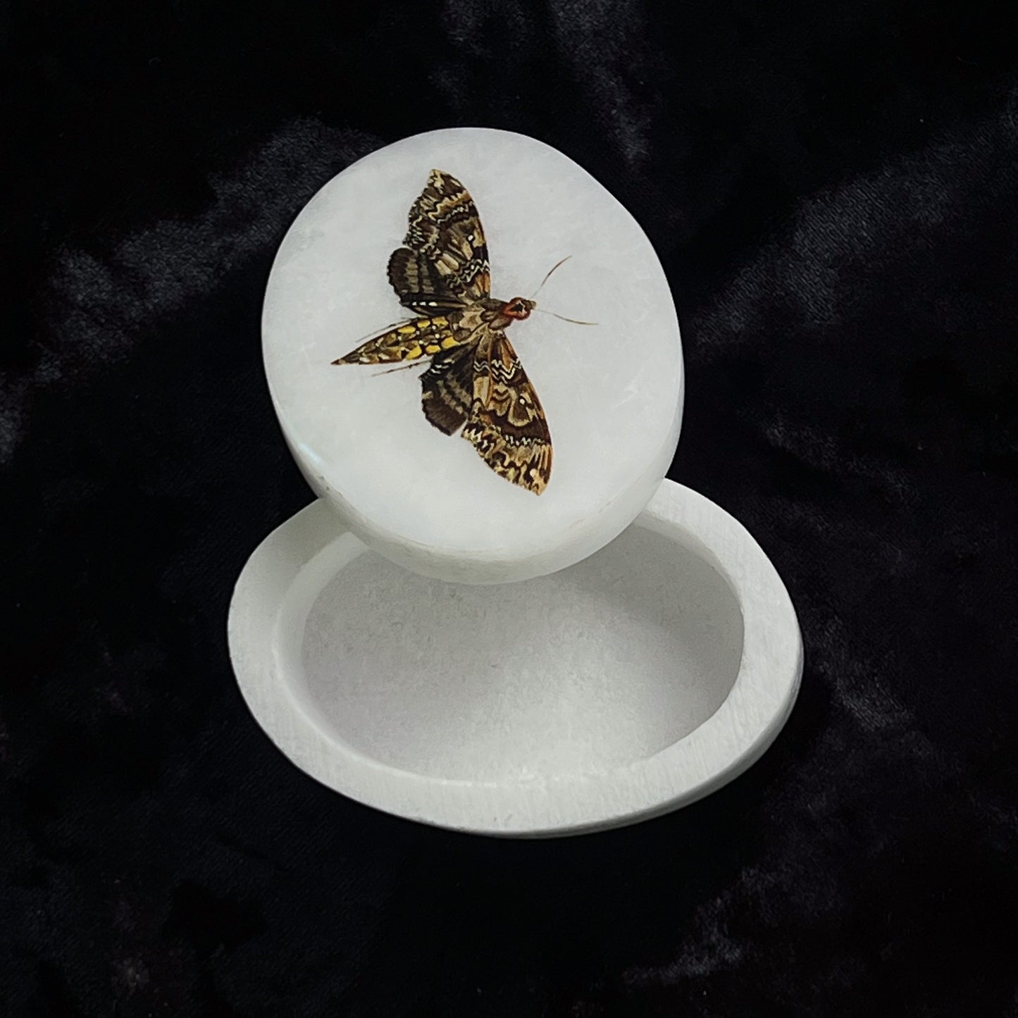 Soap Stone Moth Box