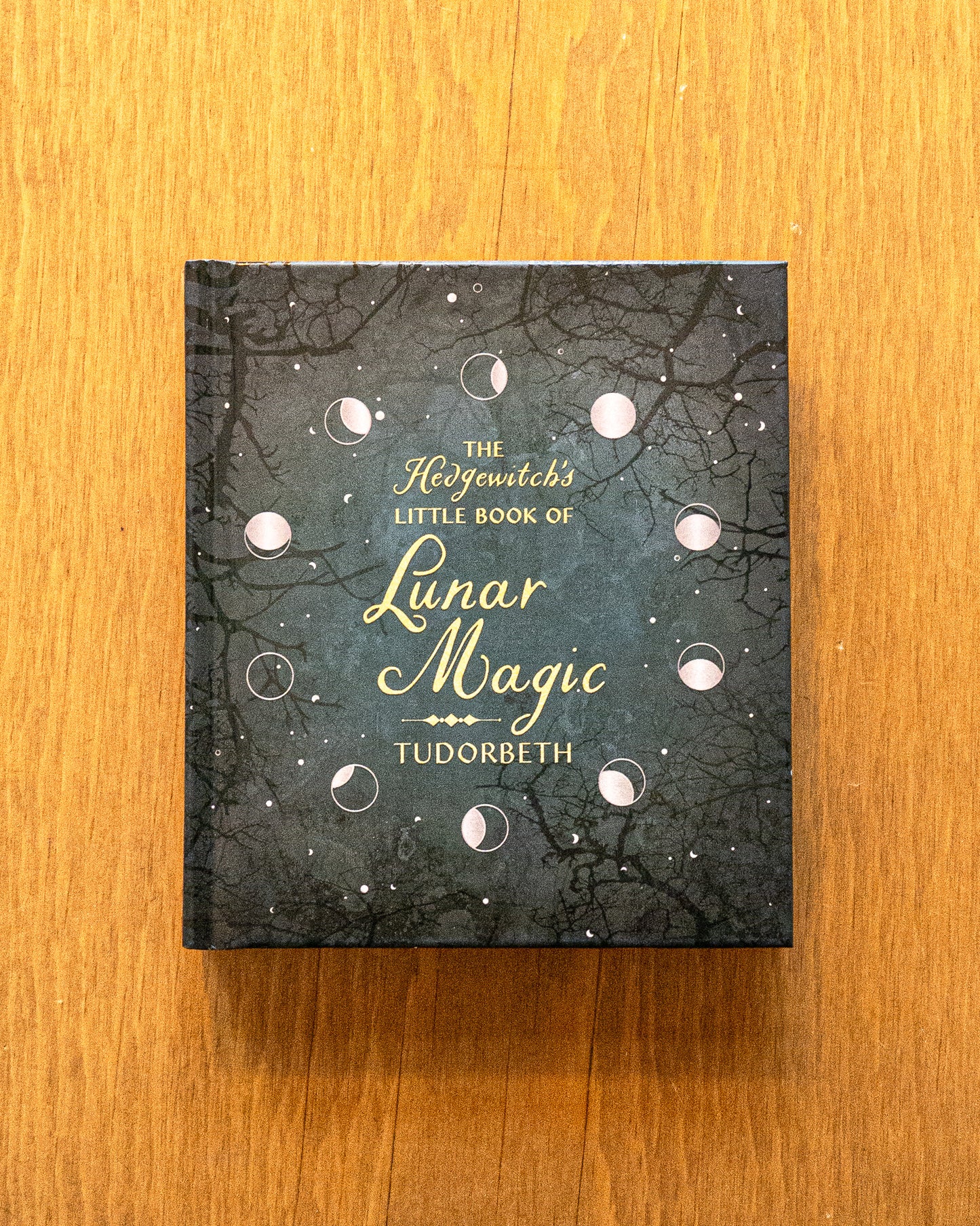 The Hedgewitch’s Little Book of Lunar Magic by Tudorbeth