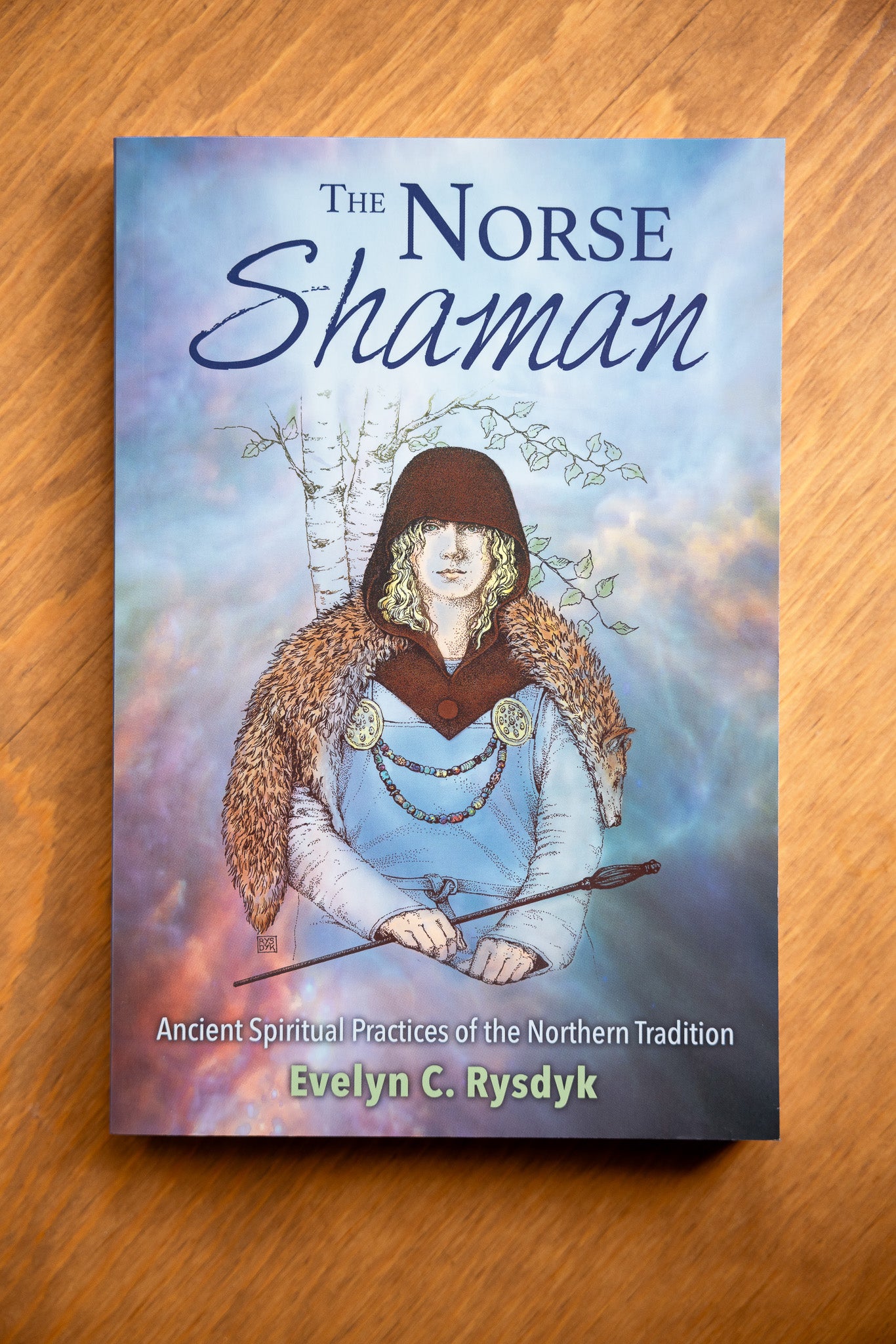 The Norse Shaman: Ancient Spiritual Practices of the Northern Tradition by Evelyn C. Rysdyk