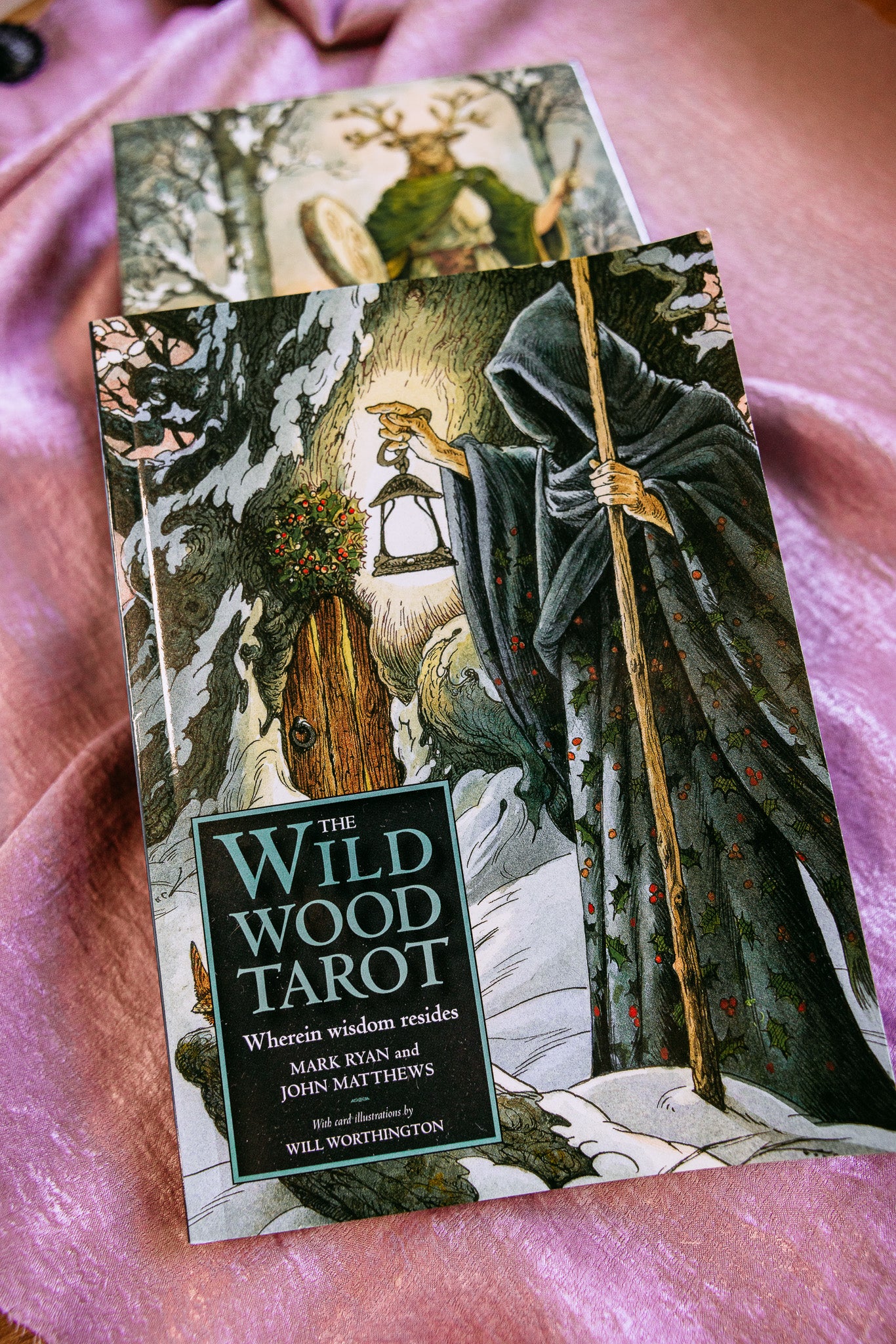 The Wild Wood Tarot