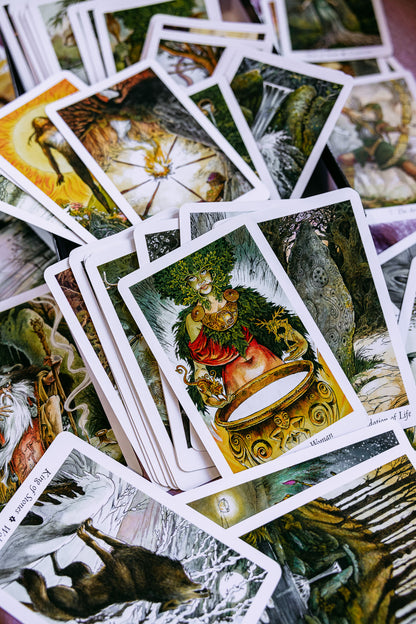 The Wild Wood Tarot