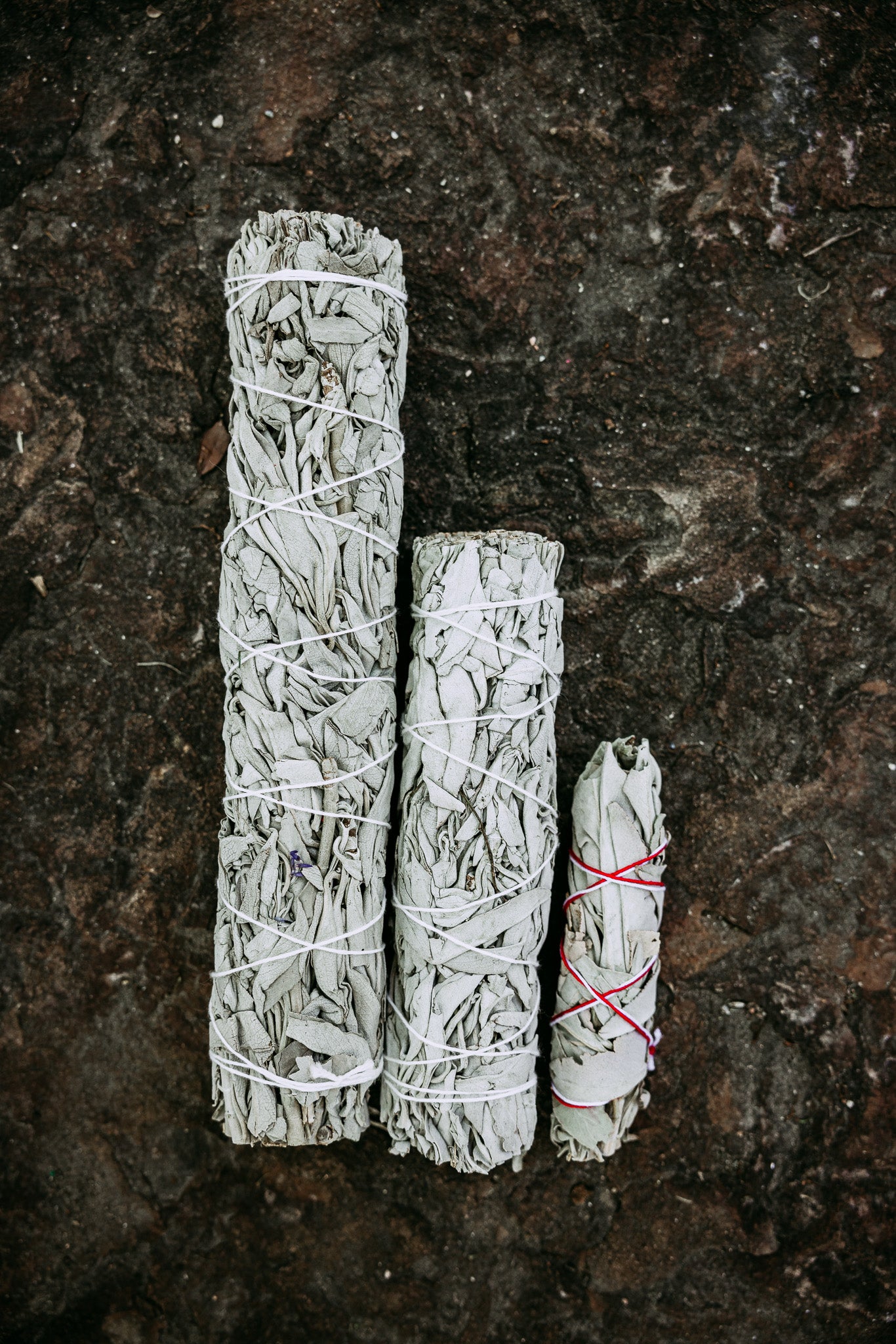 White Sage XLarge Bundle